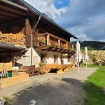 Pod Dubem